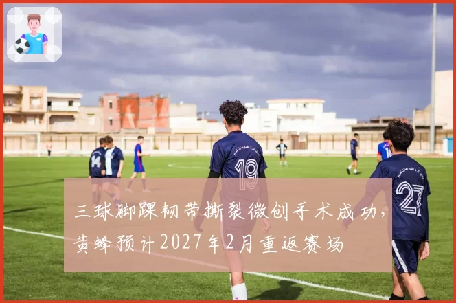 三球脚踝韧带撕裂微创手术成功，黄蜂预计2027年2月重返赛场