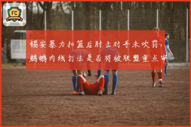 锡安暴力扣篮后肘击对手未吹罚,鹈鹕内线打法是否将被联盟重点审查?