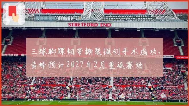 三球脚踝韧带撕裂微创手术成功,黄蜂预计2027年2月重返赛场